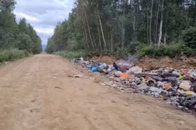 Свалку с трупами свиней обнаружили в Хабаровском крае - hab.aif.ru - Хабаровский край - Хабаровск
