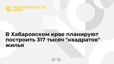 Михаил Дегтярев - В Хабаровском крае планируют построить 317 тысяч "квадратов" жилья - realty.ria.ru - Хабаровский край - Благовещенск