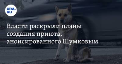 Вадим Шумков - Власти раскрыли планы создания приюта, анонсированного Шумковым - ura.news - Курганская обл.