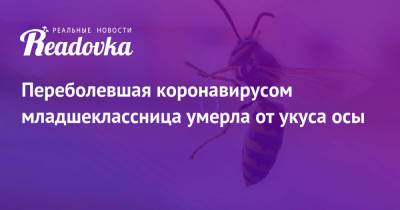 Переболевшая коронавирусом младшеклассница умерла от укуса осы - readovka.ru - Московская обл.