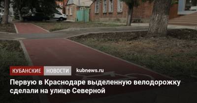 Первую в Краснодаре выделенную велодорожку сделали на улице Северной - kubnews.ru - Краснодарский край - Краснодар