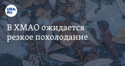 В ХМАО ожидается резкое похолодание - ura.news - Ханты-Мансийск - Югра
