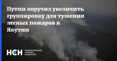 Владимир Путин - Евгений Зиничев - Айсен Николаев - Путин поручил увеличить группировку для тушения лесных пожаров в Якутии - nsn.fm - Россия - респ. Саха