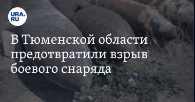 В Тюменской области предотвратили взрыв боевого снаряда - ura.news - Тюменская обл. - район Тобольский