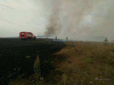 Воронежский заповедник в Липецкой области продолжают тушить - lipetskmedia.ru - Россия - Воронежская обл. - Липецкая обл. - Липецк - населенный пункт Ближайший