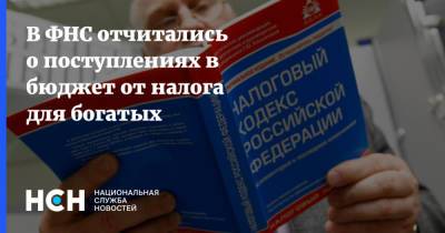 Михаил Мишустин - Даниил Егоров - В ФНС отчитались о поступлениях в бюджет от налога для богатых - nsn.fm