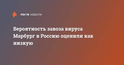 Вероятность завоза вируса Марбург в Россию оценили как низкую - ren.tv - Россия - США - Голландия - Уганда