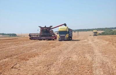 В УкрТрансАгро рассказали, как проходит новый зерновой сезон - agroportal.ua - Украина - Италия - Николаев - Бердянск - Мариуполь