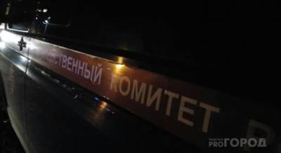 Мужчину обвиняют в нападении на двух женщин: пытался задушить, одну чуть не изнасиловал - pg21.ru - респ. Чувашия