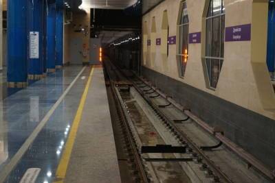 Метрополитен Петербурга не намерен закрывать заросшую мхом и плесенью станцию «Дунайская» - spb.mk.ru - Санкт-Петербург