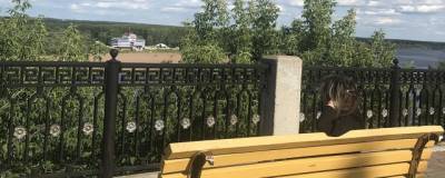 В Кирове на набережной Грина уберут огромный кустарник - runews24.ru