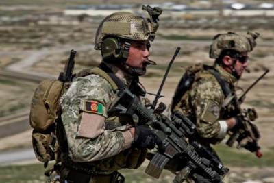 Армия Афганистана за сутки ликвидировала больше 360 талибов* - news-front.info - Афганистан - провинция Нангархар