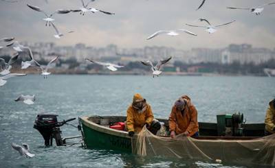 Украина обратилась к России из-за действий на море (Корреспондент, Украина) - inosmi.ru - Россия - Украина