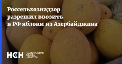 Россельхознадзор разрешил ввозить в РФ яблоки из Азербайджана - nsn.fm - Россия - Азербайджан - Россельхознадзор