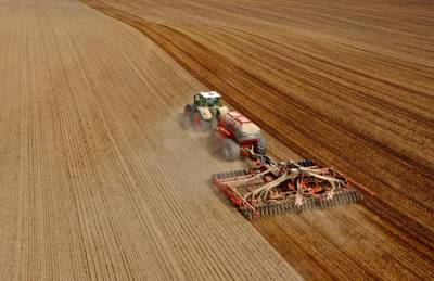 Континентал начал сеять рапс под урожай-2022 - agroportal.ua - Украина