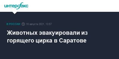 Животных эвакуировали из горящего цирка в Саратове - interfax.ru - Москва - Россия - Саратов