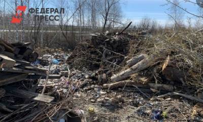 Окраину Екатеринбурга превратили в незаконную свалку - fedpress.ru - Россия - Екатеринбург