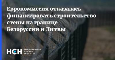 Ингрида Шимоните - Еврокомиссия отказалась финансировать строительство стены на границе Белоруссии и Литвы - nsn.fm - Белоруссия - Литва