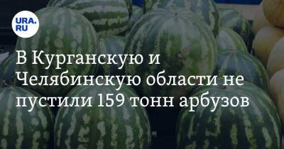 В Курганскую и Челябинскую области не пустили 159 тонн арбузов - ura.news - Россия - Казахстан - Челябинская обл. - Киргизия - Курганская обл. - район Троицкий