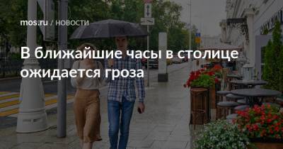 В ближайшие часы в столице ожидается гроза - mos.ru - Москва