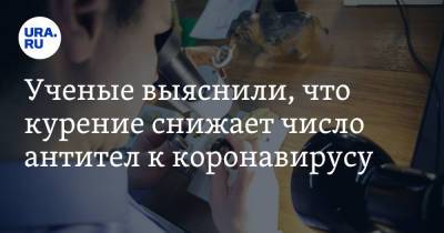 Ученые выяснили, что курение снижает число антител к коронавирусу - ura.news