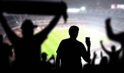 Дмитрий Григоренко - В России хотят позволить продавать пиво на стадионах - mirnov.ru - Россия