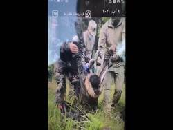 Литовцы вынесли мигрантку на границу Беларуси - newsland.com - Белоруссия - Литва