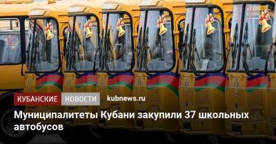 Анна Минькова - Муниципалитеты Кубани закупили 37 школьных автобусов - kubnews.ru - Краснодарский край