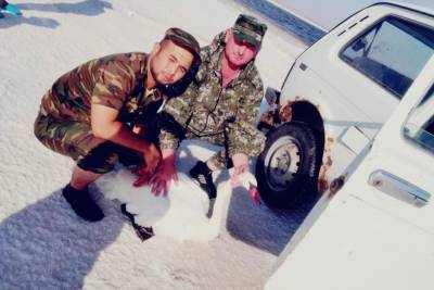 На соленом озере Баскунчак астраханцы спасли от гибели лебедей - volg.mk.ru - Астраханская обл.