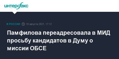 Элла Памфилова - Эльвира Вихарева - Памфилова переадресовала в МИД просьбу кандидатов в Думу о миссии ОБСЕ - interfax.ru - Москва - США