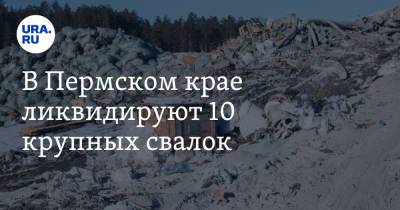 В Пермском крае ликвидируют 10 крупных свалок - ura.news - Пермский край - Краснокамск - Александровск - округ Кунгурский