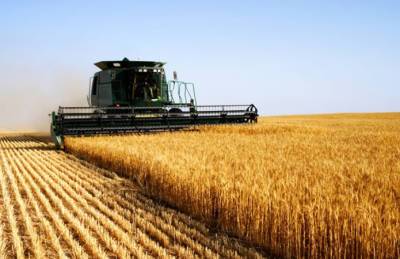 Аграрии Днепропетровщины обмолотили 75% ранних зерновых - agroportal.ua - Украина - Днепропетровская обл.
