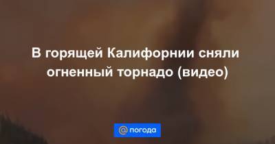 Екатерина Гура - В горящей Калифорнии сняли огненный торнадо (видео) - news.mail.ru - шт. Калифорния