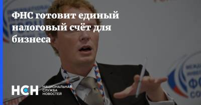 Дмитрий Егоров - ФНС готовит единый налоговый счёт для бизнеса - nsn.fm