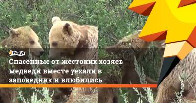 Спасённые от жестоких хозяев медведи вместе уехали в заповедник и влюбились - ridus.ru - Албания