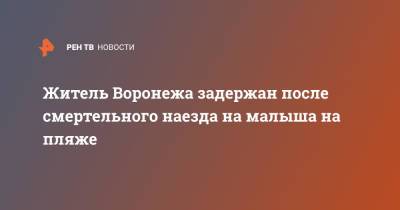 Александр Бастрыкин - Житель Воронежа задержан после смертельного наезда на малыша на пляже - ren.tv - Воронеж