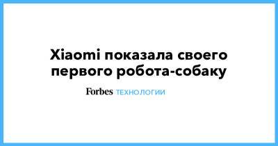 Xiaomi показала своего первого робота-собаку - forbes.ru - Boston