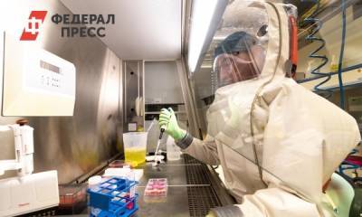 Александр Гинцбург - Н.Ф.Гамалея - Стоит ли россиянам опасаться эпидемии лихорадки Марбург - fedpress.ru - Москва - Россия - Гвинея