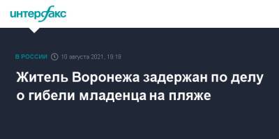 Александр Бастрыкин - Житель Воронежа задержан по делу о гибели младенца на пляже - interfax.ru - Москва - Россия - Воронеж