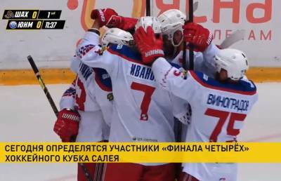 Хоккеисты «Гомеля» вышли в финал четырех Кубка Салея - ont.by - Белоруссия - Минск - Гомель