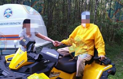Заплутавшего в лесу под Приозерском пенсионера спасли благодаря СМС - ivbg.ru - Украина - Ленинградская обл. - Приозерск - район Приозерский