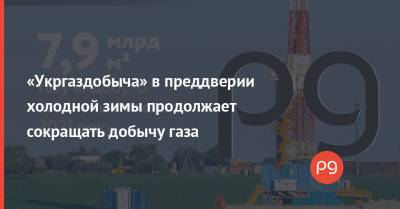 «Укргаздобыча» в преддверии холодной зимы продолжает сокращать добычу газа - thepage.ua - Украина