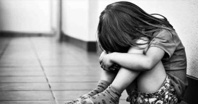 Изнасилование 6-летней девочки в Северодонецке: прокуратура сообщила новые подробности по делу - vchaspik.ua - Украина - Северодонецк