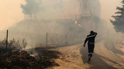 Абдельмаджид Теббун - В Алжире не менее 25 военных погибли при тушении лесных пожаров - iz.ru - Израиль - Турция - Греция - Того - Алжир - Алжирская Народная Демократическая Республика