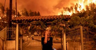 Пожары в Греции: объявлена эвакуация 12 населенных пунктов (фото) - focus.ua - Украина - Греция