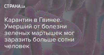Карантин в Гвинее. Умерший от болезни зеленых мартышек мог заразить больше сотни человек - strana.ua - Украина - Либерия - Гвинея - Сьерра Леоне