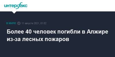Более 40 человек погибли в Алжире из-за лесных пожаров - interfax.ru - Москва - Турция - Греция - Алжир - Алжирская Народная Демократическая Республика