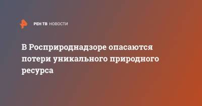 Светлана Радионова - В Росприроднадзоре опасаются потери уникального природного ресурса - ren.tv - Россия