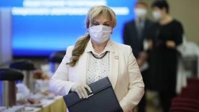 Александр Беглов - Элла Памфилова - Вызванным Булановой ревизорам ЦИК предстоит решить много конфликтов - dp.ru
