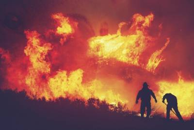 В Башкирии появились шесть новых очагов лесных пожаров - ufa.mk.ru - Башкирия